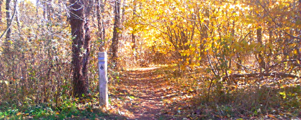 The Appalachian Trail2014 Journey, AT in Virginia
