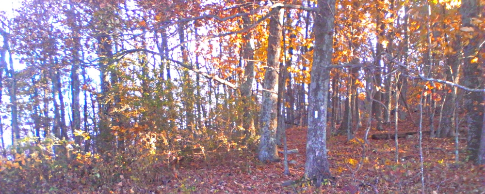 The Appalachian Trail2014 Journey, AT in Virginia