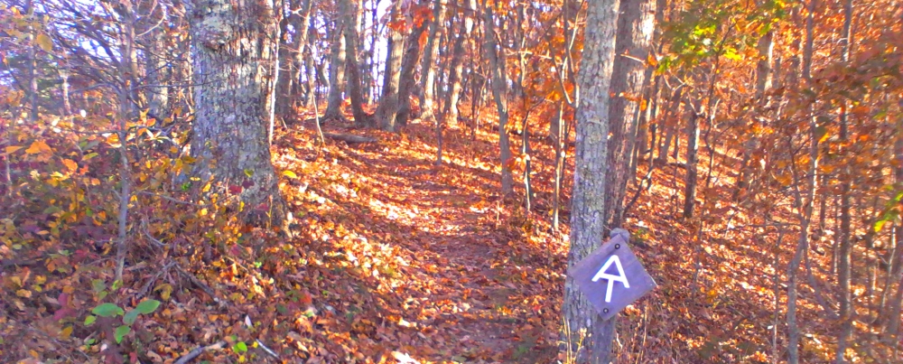 The Appalachian Trail2014 Journey, AT in Virginia