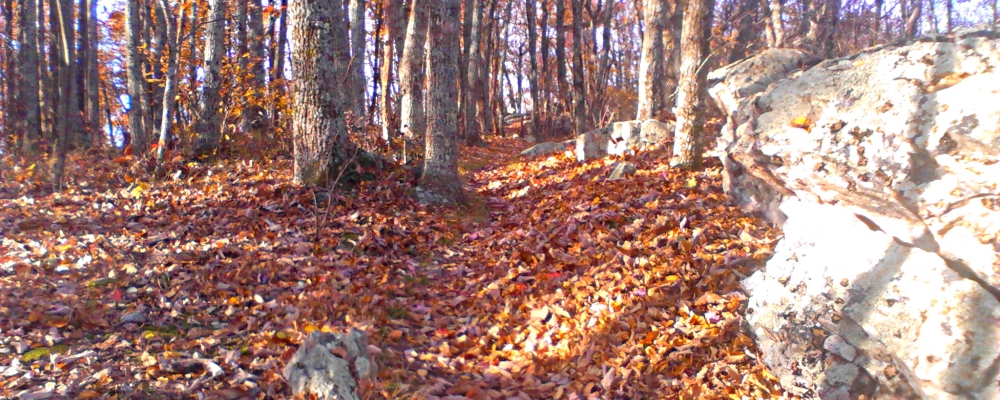 The Appalachian Trail2014 Journey, AT in Virginia