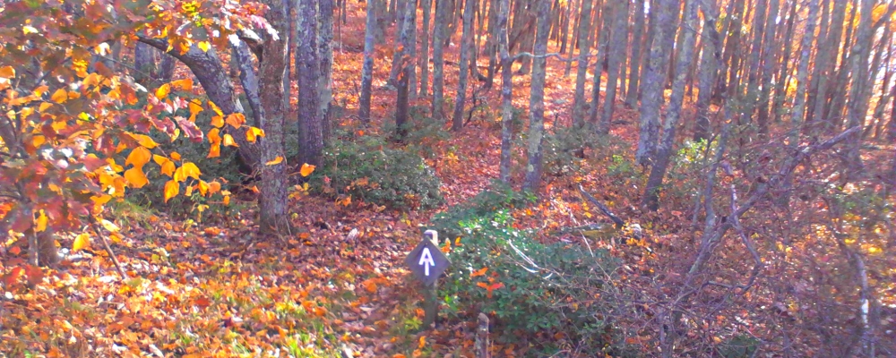 The Appalachian Trail2014 Journey, AT in Virginia