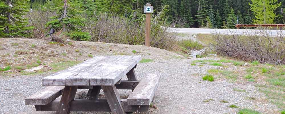 The Pacific Crest Trailin Washington